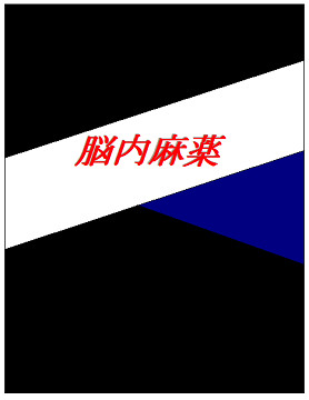 脳内麻薬　女性の脳が無視できない男の秘密