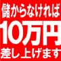 利益出なければ１０万円差し上げます！★★日経２２５「資産倍増メールニュースをお届け」サービス★★～10年連続で毎年資産倍増の秘術～◎プラチナ会員◎