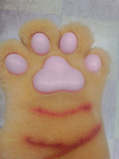 お金をかけない水虫治療