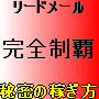 リードメール完全制覇＋秘密の稼ぎ方完全マニュアル