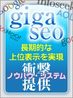 ★ＧＩＧＡ・ＳＥＯ（ＳＥＯ百貨事典として貴方の手元に・・）