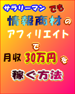 【再配布権付】サラリーマンでも情報商材のアフィリエイトで月収30万円を稼ぐ方法 3.0