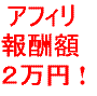 最速情報起業マニュアル　