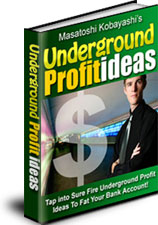 エッセンスが凝縮された50の販売戦術『秘密地下室儲けのアイディア・Underground Profit Ideas!』