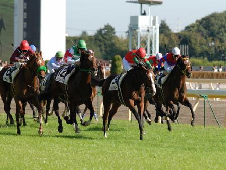 噂の３連複必勝馬券『単力法(パワーホース）』。もうこれで競馬情報会社はいらない！