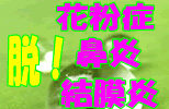 ３０日で花粉症・鼻炎・結膜炎を治す！！アレルギー体質の抜本的改善法