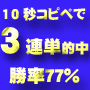 3連単/馬単専用投資競馬術 スピードタッチウイナー