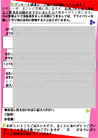 �� �ޥ˥奢��12