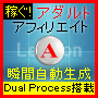 アダルトアフィリエイトサイト自動生成プログラムVer.5~『Lexicon-A』~“Dual Process” 搭載