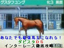 ���� �ޥ˥奢��3