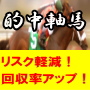 その投資競馬情報商材はまだ買うな!競馬予想のリスク軽減と回収率アップの「軸馬系」投資競馬情報サービス『的中軸馬』