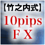 【竹之内式】10pips FX