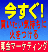 今すぐできる！即金パーフェクトマーケティング戦術（オプション付き）