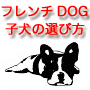 間違いだらけのフレンチブルドッグ選び