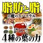 薬屋が薬剤師チームを組み開発したダイエットティーの自信作「黒の奇跡」