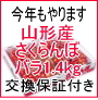 【限定20箱】贈答用★山形産高級品!路地さくらんぼ佐藤錦　バラ350g×4パック計1.4kg化粧箱入り