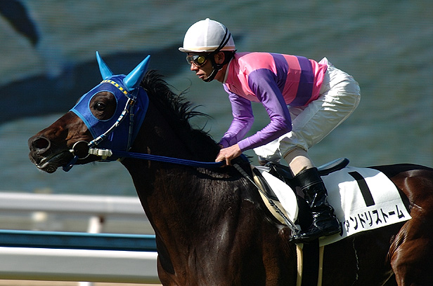 【１＋１＝２】どうやってもマイナスにはならない、競馬で必ず勝てる数式があったら、どうやってもマイナス収支にはならないのです。この「競馬必勝方程式」なら・・・