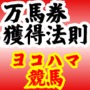 ヨコハマ競馬 (6ヶ月VIPプラン)