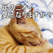 無いのネタ1