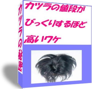 値段のネタ2