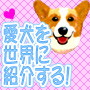 犬のネタ1