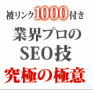 被リンク1000ドメイン付き！ 10年以上1万キーワード達成のSEO会社が教える 業界プロのSEO技・究極の極意