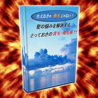 髪の悩みを解決するとっておきの育毛・発毛術！！