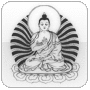 BUDDHA TREND 勝つ為のトレーディングロジックをあなたに。