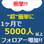 ついに真実を公開!! twitterで簡単に月5000人に フォローしてもらう方法