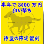 【12/25までの限定復刻】メガヒット競馬術◎半年で3000万円払い戻しの秘密を完全暴露する究極の馬券商材
