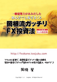 一級建築士があみだした初心者でも稼ぎまくる岡根流ガチッチリＦＸ投資法