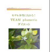 モデル体型になれる！TEAM Plumeria ダイエット ＤＶＤ