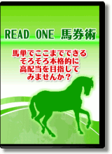 リードワン馬単ソフト