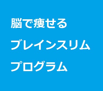 ブレインスリムプログラム