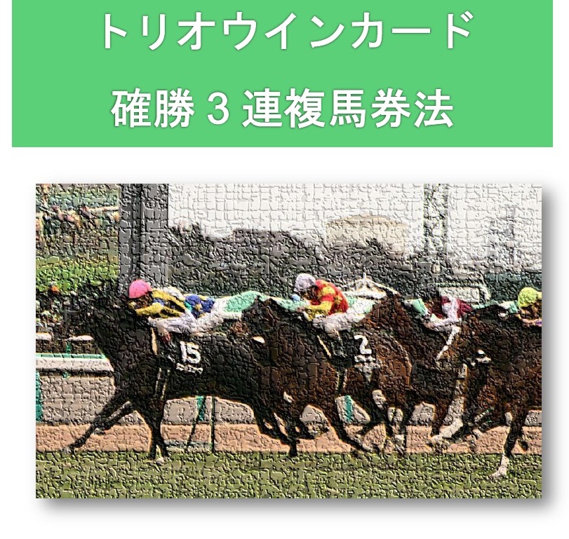 トリオウインカード〜確勝３連複馬券法