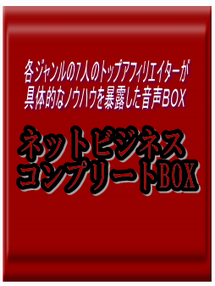 ネットビジネスコンプリートＢＯＸ