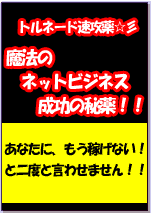 魔法のネットビジネス成功の秘薬！！