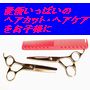 誰にでもわかる子供のヘアカット・ヘアケアの本