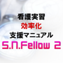 ŌKx}jA S.N.Fellow2