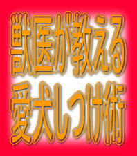 獣医が教える愛犬しつけ術