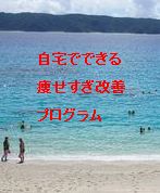 自宅でできる 痩せすぎ改善プログラム