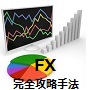 FX 完全攻略手法