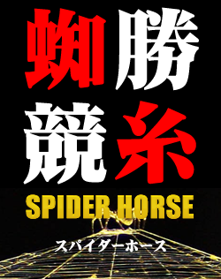 ＳＰＩＤＥＲ　ＨＯＲＳＥ【競馬予想ソフト終身ライセンスWINDOWS版】