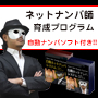 亀頭戦士ガンナメの『ネットナンパ師育成プログラム』〜自動ネットナンパソフト付き〜