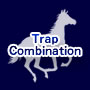 ｔｒａｐｃｏｍｂｉｎａｔｉｏｎ【競馬WINDOWS専用ソフト】