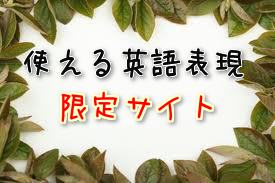 使える英語表現限定サイト　各欄券