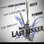 SEO対策最後の砦「Last Linker」　プレミアムエディション