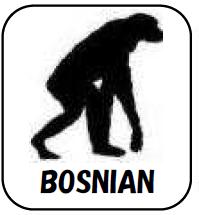 ボスニア語　サバイバル・フレーズブック　Survival BOSNIAN　　語学の道は一日にして成らず・・・　だけど今すぐ必要だという皆様のための、ライフジャケットのような緊急性と利便性を備えた、ボスニア語会話集