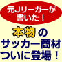 �{���̃T�b�J�[�}�j���A���y��J���[�K�[�����_�I���`�z�킪�q���v���I��ɂ��邽�߂�8�̋Ɉ�