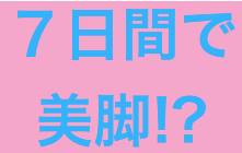 わんちゃん先生の７日間美脚マスタープログラム